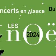 Banniere noelies 2024